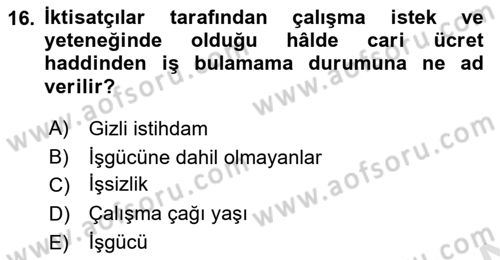 Çalışma Ekonomisi Dersi 2023 - 2024 Yılı (Final) Dönem Sonu Sınav Soruları 16. Soru