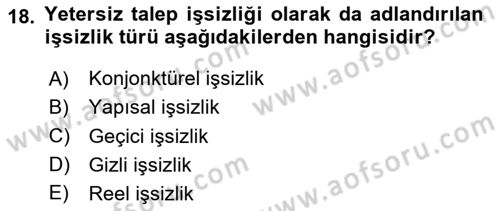 Çalışma Ekonomisi Dersi 2023 - 2024 Yılı (Final) Dönem Sonu Sınav Soruları 18. Soru