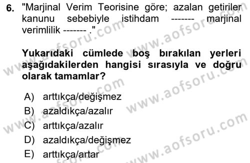 Çalışma Ekonomisi Dersi 2023 - 2024 Yılı (Final) Dönem Sonu Sınav Soruları 6. Soru