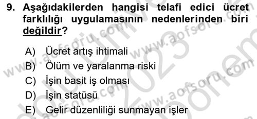 Çalışma Ekonomisi Dersi 2023 - 2024 Yılı (Final) Dönem Sonu Sınav Soruları 9. Soru