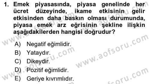 Çalışma Ekonomisi Dersi 2023 - 2024 Yılı Yaz Okulu Sınav Soruları 1. Soru