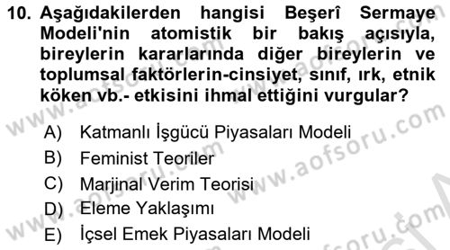 Çalışma Ekonomisi Dersi 2023 - 2024 Yılı Yaz Okulu Sınav Soruları 10. Soru
