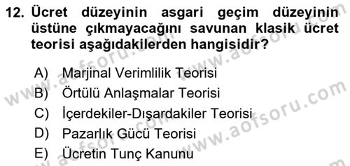 Çalışma Ekonomisi Dersi 2023 - 2024 Yılı Yaz Okulu Sınav Soruları 12. Soru