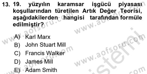 Çalışma Ekonomisi Dersi 2023 - 2024 Yılı Yaz Okulu Sınav Soruları 13. Soru