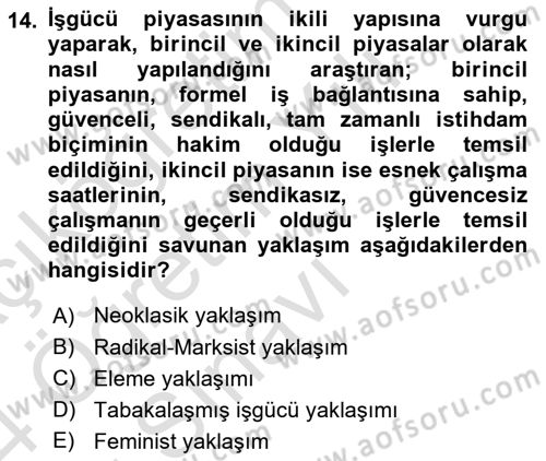Çalışma Ekonomisi Dersi 2023 - 2024 Yılı Yaz Okulu Sınav Soruları 14. Soru