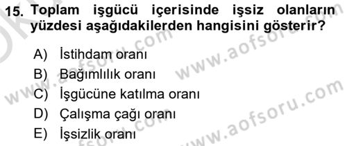 Çalışma Ekonomisi Dersi 2023 - 2024 Yılı Yaz Okulu Sınav Soruları 15. Soru
