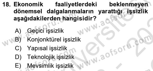 Çalışma Ekonomisi Dersi 2023 - 2024 Yılı Yaz Okulu Sınav Soruları 18. Soru