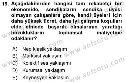 Çalışma Ekonomisi Dersi 2023 - 2024 Yılı Yaz Okulu Sınav Soruları 19. Soru