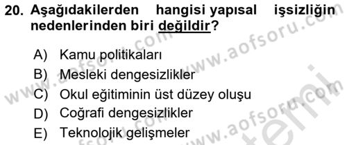 Çalışma Ekonomisi Dersi 2023 - 2024 Yılı Yaz Okulu Sınav Soruları 20. Soru
