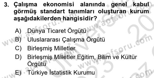 Çalışma Ekonomisi Dersi 2023 - 2024 Yılı Yaz Okulu Sınav Soruları 3. Soru