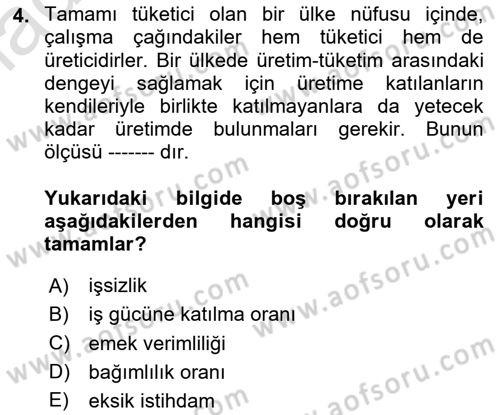Çalışma Ekonomisi Dersi 2023 - 2024 Yılı Yaz Okulu Sınav Soruları 4. Soru