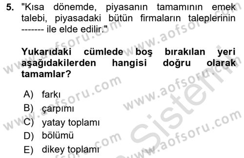Çalışma Ekonomisi Dersi 2023 - 2024 Yılı Yaz Okulu Sınav Soruları 5. Soru