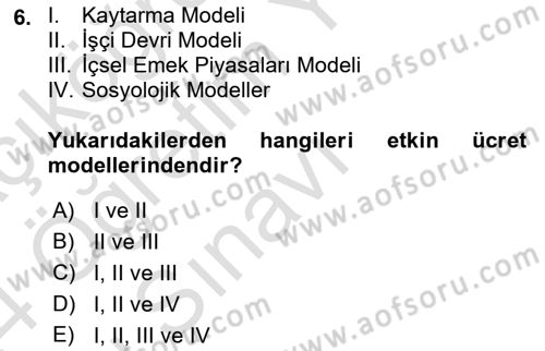 Çalışma Ekonomisi Dersi 2023 - 2024 Yılı Yaz Okulu Sınav Soruları 6. Soru