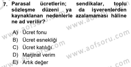 Çalışma Ekonomisi Dersi 2023 - 2024 Yılı Yaz Okulu Sınav Soruları 7. Soru