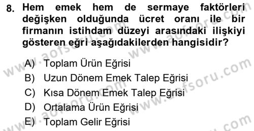 Çalışma Ekonomisi Dersi 2023 - 2024 Yılı Yaz Okulu Sınav Soruları 8. Soru