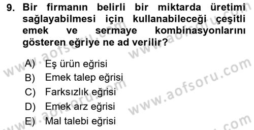 Çalışma Ekonomisi Dersi 2023 - 2024 Yılı Yaz Okulu Sınav Soruları 9. Soru