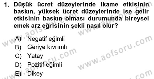 Çalışma Ekonomisi Dersi 2024 - 2025 Yılı (Vize) Ara Sınav Soruları 1. Soru