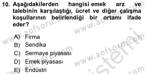 Çalışma Ekonomisi Dersi 2024 - 2025 Yılı (Vize) Ara Sınav Soruları 10. Soru