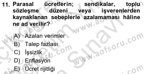 Çalışma Ekonomisi Dersi 2024 - 2025 Yılı (Vize) Ara Sınav Soruları 11. Soru
