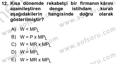 Çalışma Ekonomisi Dersi 2024 - 2025 Yılı (Vize) Ara Sınav Soruları 12. Soru