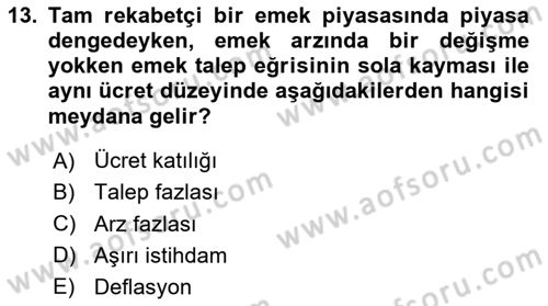 Çalışma Ekonomisi Dersi 2024 - 2025 Yılı (Vize) Ara Sınav Soruları 13. Soru