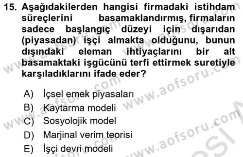 Çalışma Ekonomisi Dersi 2024 - 2025 Yılı (Vize) Ara Sınav Soruları 15. Soru