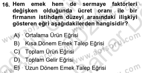 Çalışma Ekonomisi Dersi 2024 - 2025 Yılı (Vize) Ara Sınav Soruları 16. Soru