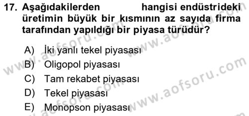 Çalışma Ekonomisi Dersi 2024 - 2025 Yılı (Vize) Ara Sınav Soruları 17. Soru