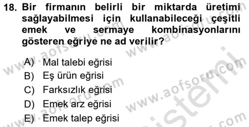 Çalışma Ekonomisi Dersi 2024 - 2025 Yılı (Vize) Ara Sınav Soruları 18. Soru