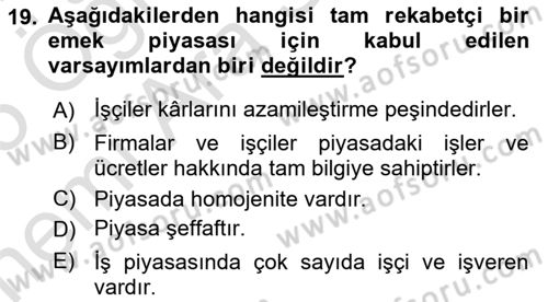 Çalışma Ekonomisi Dersi 2024 - 2025 Yılı (Vize) Ara Sınav Soruları 19. Soru