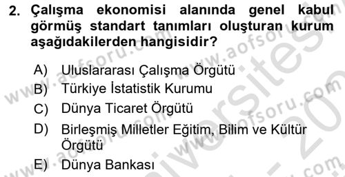 Çalışma Ekonomisi Dersi 2024 - 2025 Yılı (Vize) Ara Sınav Soruları 2. Soru
