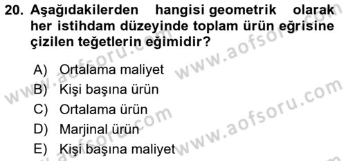 Çalışma Ekonomisi Dersi 2024 - 2025 Yılı (Vize) Ara Sınav Soruları 20. Soru