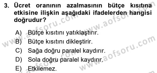 Çalışma Ekonomisi Dersi 2024 - 2025 Yılı (Vize) Ara Sınav Soruları 3. Soru