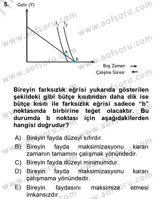 Çalışma Ekonomisi Dersi 2024 - 2025 Yılı (Vize) Ara Sınav Soruları 5. Soru