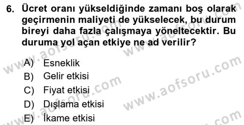 Çalışma Ekonomisi Dersi 2024 - 2025 Yılı (Vize) Ara Sınav Soruları 6. Soru