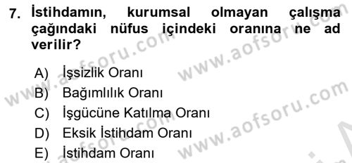 Çalışma Ekonomisi Dersi 2024 - 2025 Yılı (Vize) Ara Sınav Soruları 7. Soru
