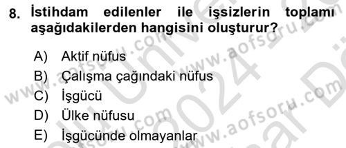 Çalışma Ekonomisi Dersi 2024 - 2025 Yılı (Vize) Ara Sınav Soruları 8. Soru