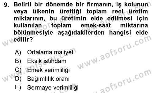 Çalışma Ekonomisi Dersi 2024 - 2025 Yılı (Vize) Ara Sınav Soruları 9. Soru
