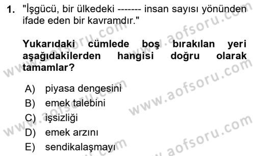 Çalışma Ekonomisi Dersi 2024 - 2025 Yılı (Final) Dönem Sonu Sınav Soruları 1. Soru