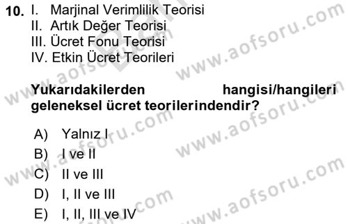 Çalışma Ekonomisi Dersi 2024 - 2025 Yılı (Final) Dönem Sonu Sınav Soruları 10. Soru