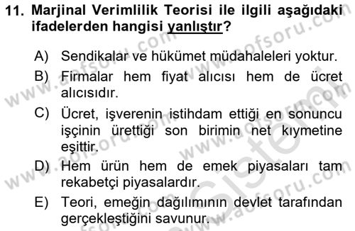 Çalışma Ekonomisi Dersi 2024 - 2025 Yılı (Final) Dönem Sonu Sınav Soruları 11. Soru