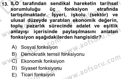 Çalışma Ekonomisi Dersi 2024 - 2025 Yılı (Final) Dönem Sonu Sınav Soruları 13. Soru