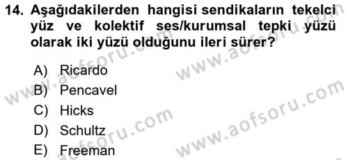 Çalışma Ekonomisi Dersi 2024 - 2025 Yılı (Final) Dönem Sonu Sınav Soruları 14. Soru