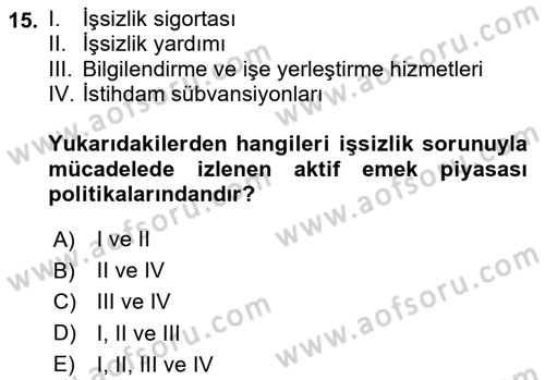 Çalışma Ekonomisi Dersi 2024 - 2025 Yılı (Final) Dönem Sonu Sınav Soruları 15. Soru