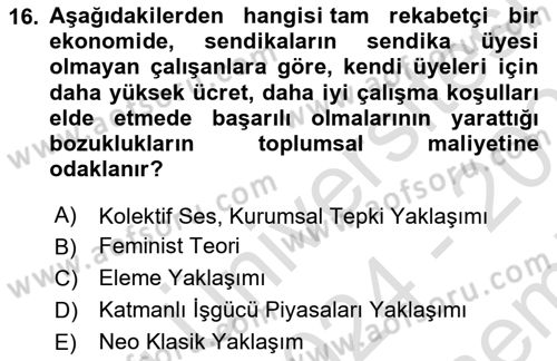 Çalışma Ekonomisi Dersi 2024 - 2025 Yılı (Final) Dönem Sonu Sınav Soruları 16. Soru