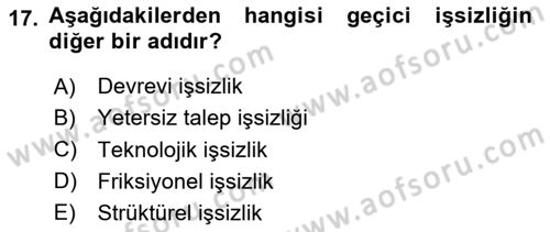 Çalışma Ekonomisi Dersi 2024 - 2025 Yılı (Final) Dönem Sonu Sınav Soruları 17. Soru