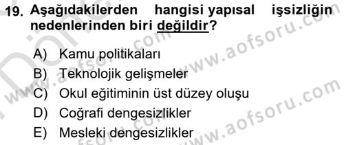 Çalışma Ekonomisi Dersi 2024 - 2025 Yılı (Final) Dönem Sonu Sınav Soruları 19. Soru