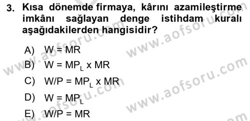 Çalışma Ekonomisi Dersi 2024 - 2025 Yılı (Final) Dönem Sonu Sınav Soruları 3. Soru