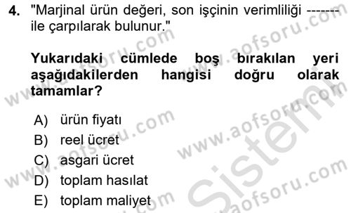Çalışma Ekonomisi Dersi 2024 - 2025 Yılı (Final) Dönem Sonu Sınav Soruları 4. Soru