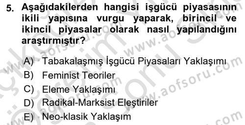 Çalışma Ekonomisi Dersi 2024 - 2025 Yılı (Final) Dönem Sonu Sınav Soruları 5. Soru